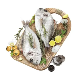 Fresh fish with vegetables herbs